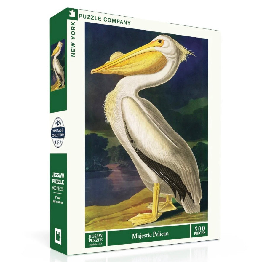 Majestic Pelican
