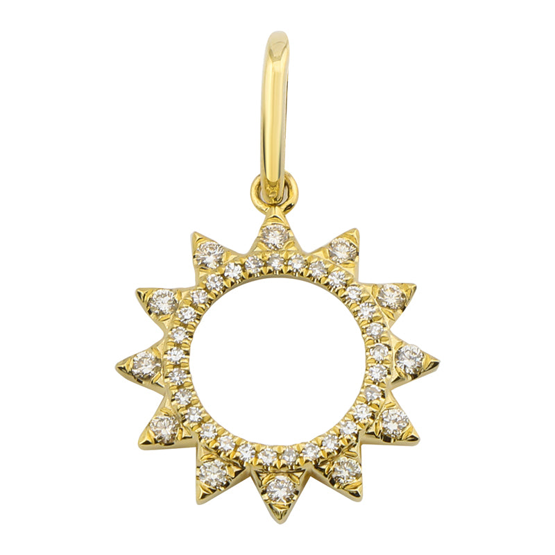 CHARM13245