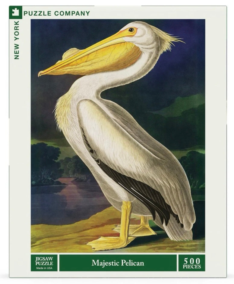 Majestic Pelican