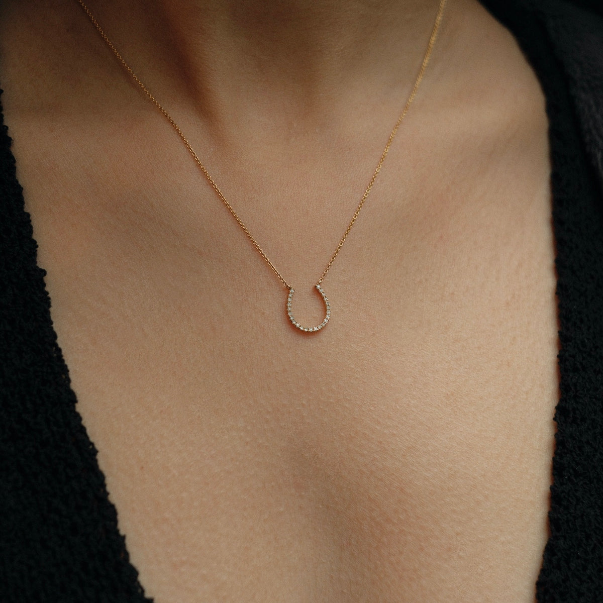 Horseshoe necklace