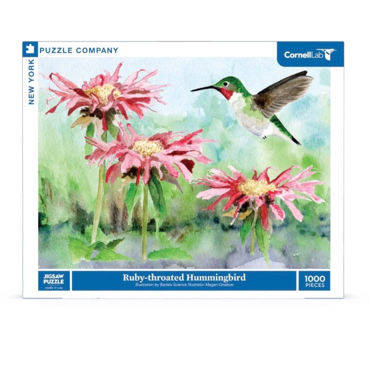 Ruby- throated hummingbird