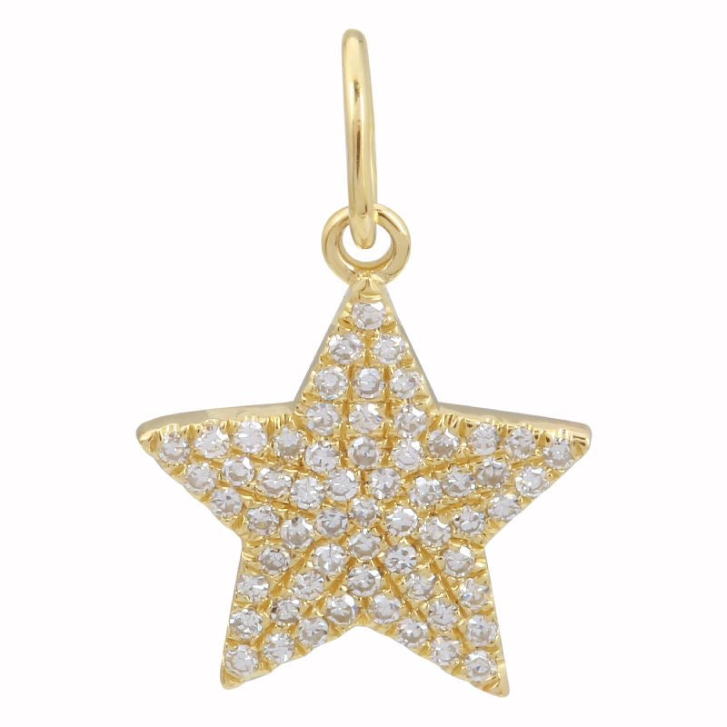 CHARM11079