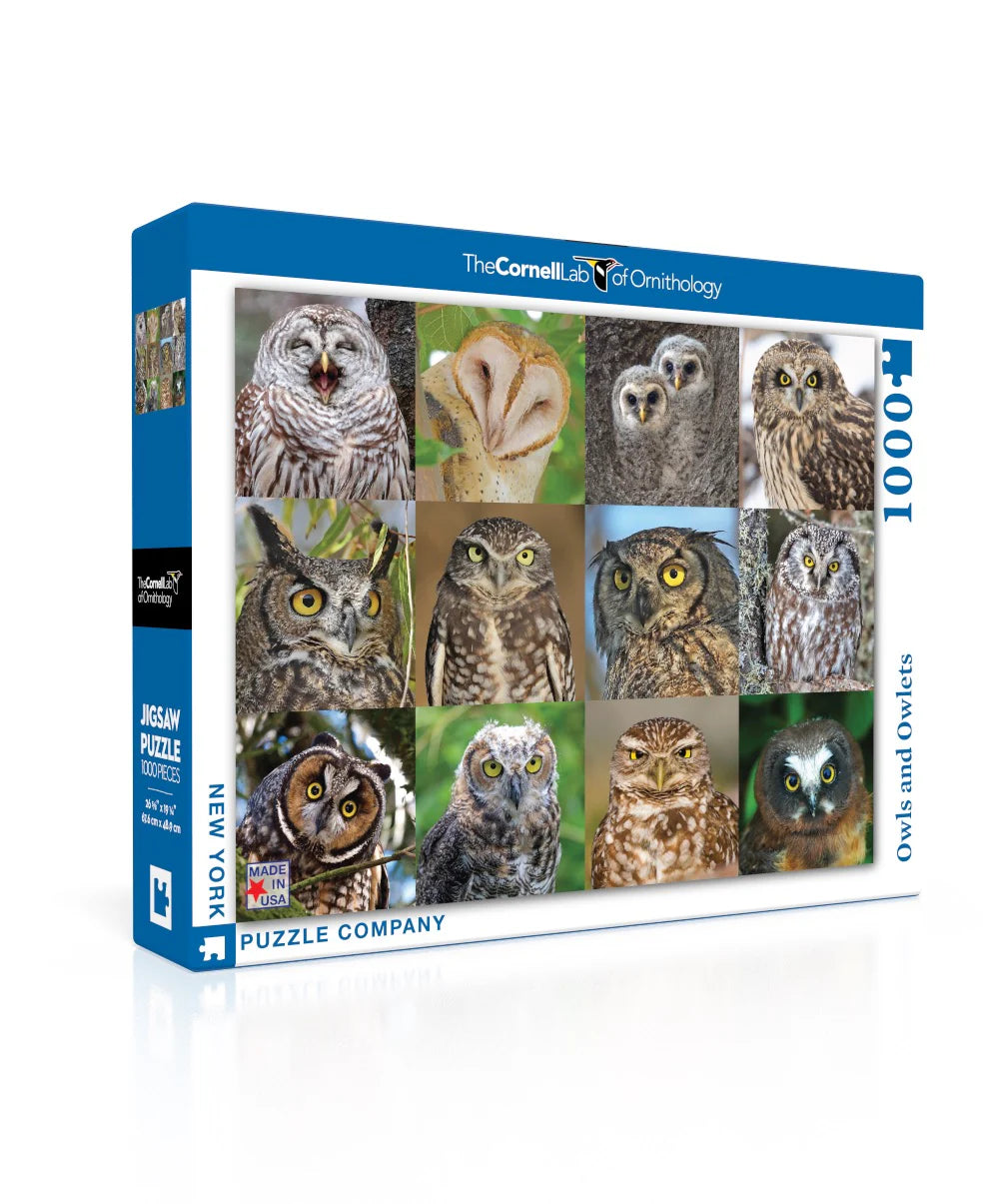 Owls and owlets