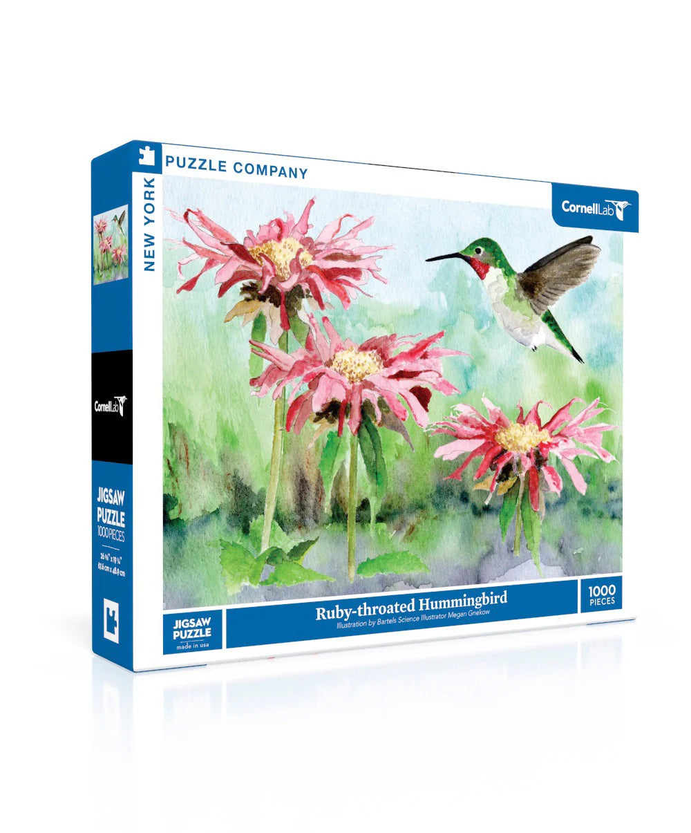 Ruby throated hummingbird