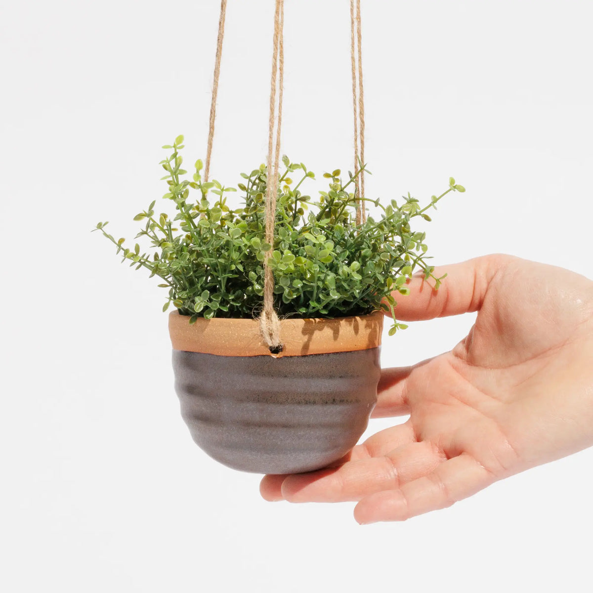 Small hanging planter