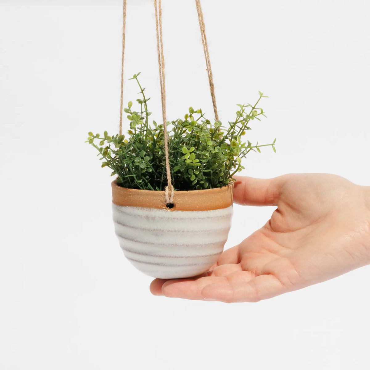 Small hanging planter