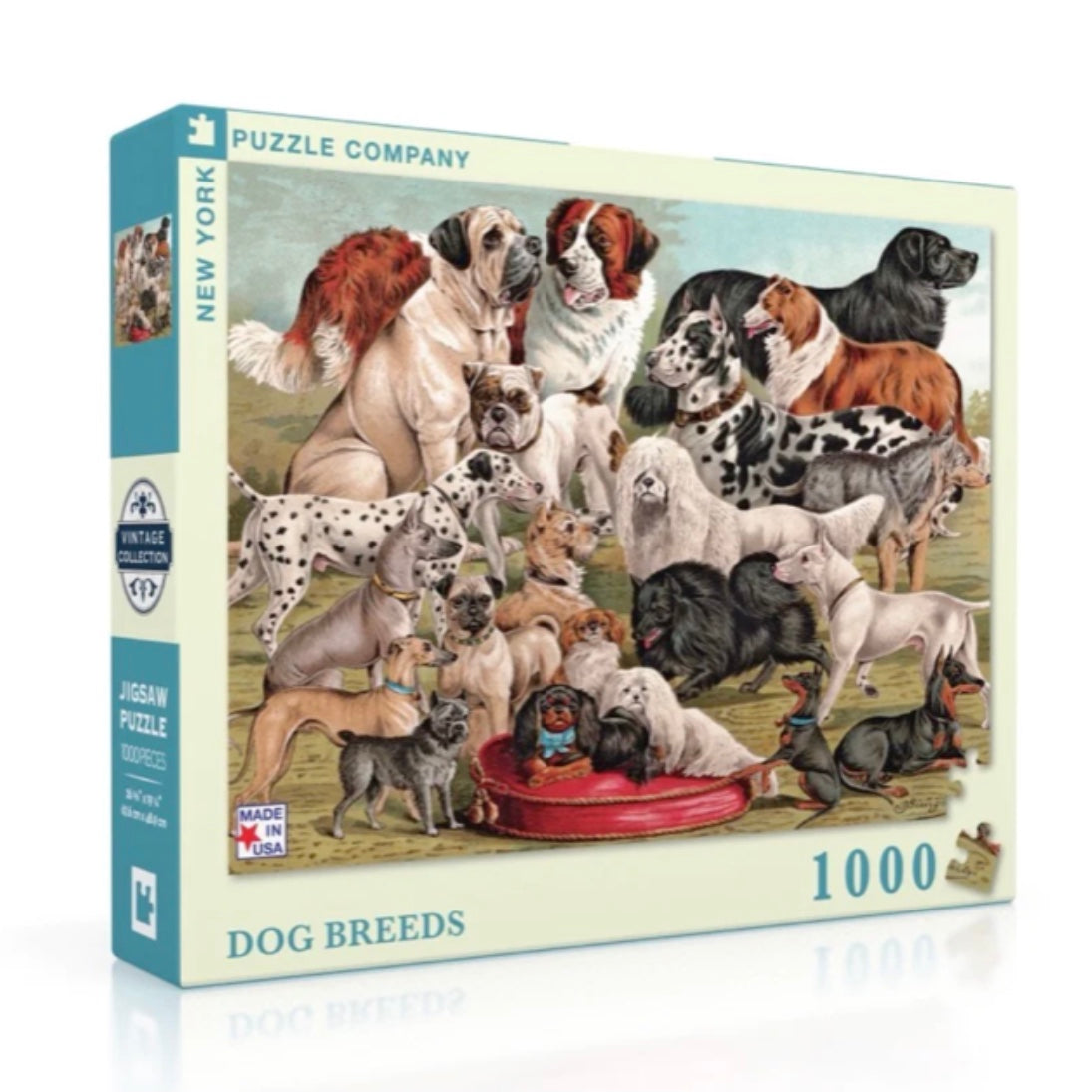 Dog breeds